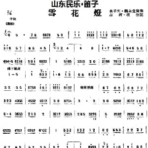 笛子谱 | 雪花灯 山东民乐 笛子 占河 根生记谱