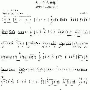 二胡谱 | 火 彩衣姑娘 二胡套曲 如来梦 之三 刘文金