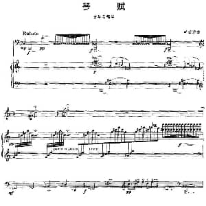 琴赋 古琴 钢琴 李云涛