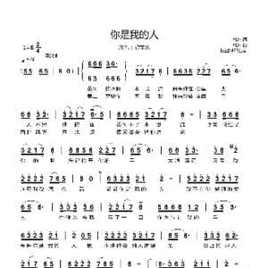 你是我的人_歌曲简谱_词曲:韩东 韩东