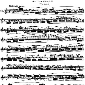 长笛曲谱 | 25首浪漫练习曲作品66号 NO.18 Kohler 柯勒