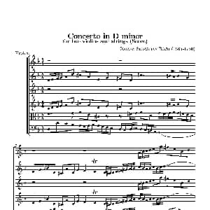 小提琴谱 | D小调无伴奏协奏曲 总谱 J.S BACH