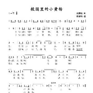 校园里的小黄杨_歌谱投稿_词曲:张继征 陈黎明