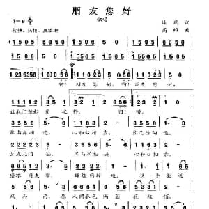 朋友您好_通俗唱法乐谱_词曲:徐康 高维