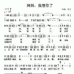 阿妈,我想你了_歌曲简谱_词曲:吴飞 吴飞