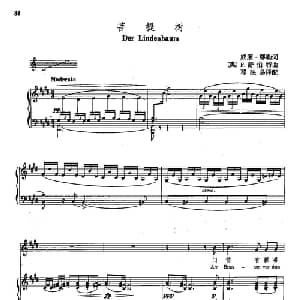 声乐教学曲库4 6菩提树 德 奥 _外国歌谱_词曲:威廉 缪斯 F 舒伯特