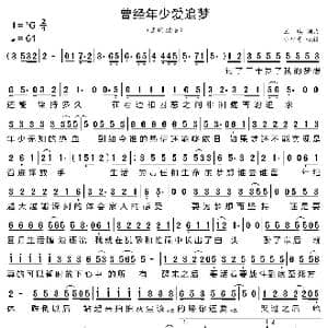 曾经年少爱追梦_歌曲简谱_词曲:王琪 王琪