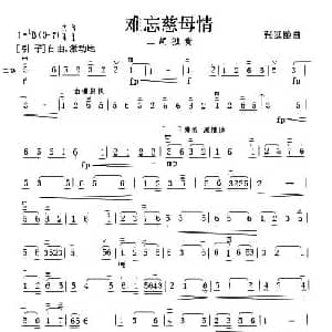 二胡谱 | 难忘慈母情 张延龄