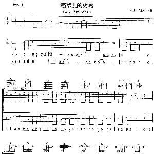 稻草上的火鸡 吉他谱 花儿乐队 花儿乐队 花儿乐队