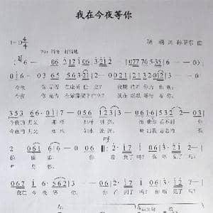我在今夜等你_歌曲简谱_词曲:晓胡 孙卫东