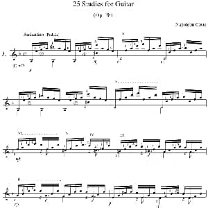 Napoleon Coste 25 Studies,Op.38 吉他谱