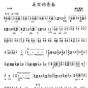 琵琶谱 | 美丽的青春