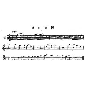 萨克斯谱 | 重归家园