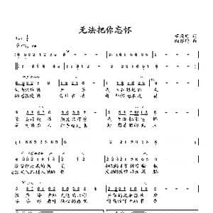 无法把你忘怀_歌曲简谱_词曲:董凤明 向邦瑜