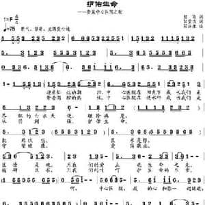 护佑生命_民歌简谱_词曲:细雨作词 邹莹改词 邹兴淮