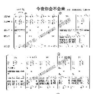 今夜你会不会来_歌曲简谱