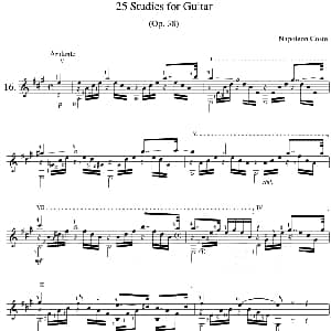 Napoleon Coste 25 Studies,Op.38 吉他谱