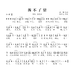 新不了情_通俗唱法乐谱_词曲:黄郁 鲍比达