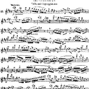 长笛曲谱 | 25首浪漫练习曲作品66号 NO.17 Kohler 柯勒