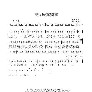 我追随你的足迹_歌曲简谱_词曲:赵玉柱 姜振