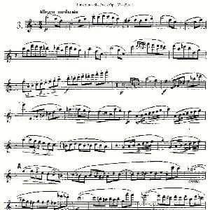 长笛曲谱 | Six Duets, Op.137 之三 二重奏 六首作品 137号 Furstenau 福斯特劳