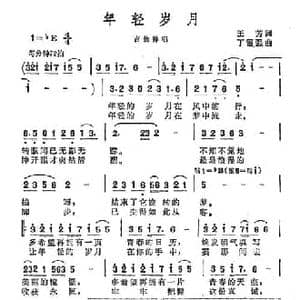 年轻岁月_民歌简谱_词曲:王芳 丁留强