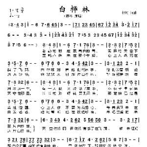 白桦林_歌谱投稿_词曲:朴树 朴树