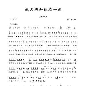 我只想和你在一起_歌谱投稿_词曲:海镔 海镔