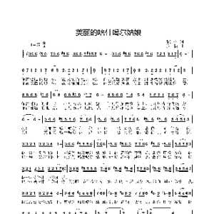 美丽的喀什噶尔姑娘_歌曲简谱_词曲:张海宁 姜振