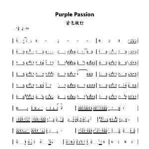 Purple Passion_歌曲简谱