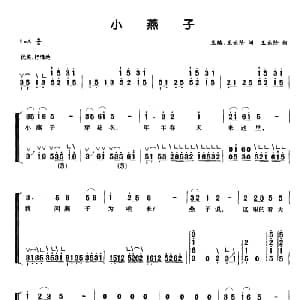 古筝谱 | 小燕子 弹唱谱 王路 王云阶 王云阶