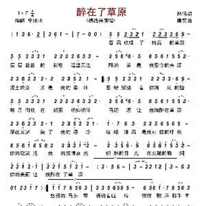 醉在草原_歌曲简谱_词曲:赵伟 唐实