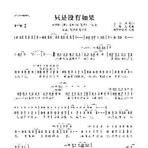 只是没有如果_歌曲简谱_词曲:王海涛 王铮亮