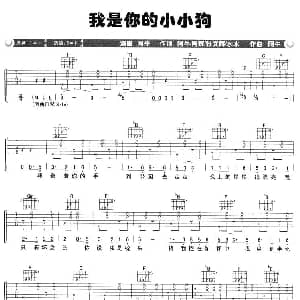 我是你的小小狗 吉他谱 阿牛