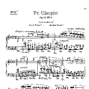 53首以肖邦练习曲为素材而作的练习曲 钢琴谱 里奥鲍尔德 戈多夫斯基