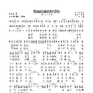 我真的真的好想你_歌曲简谱_词曲:陈永和 陈涤非