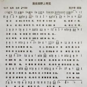 我在田野上寻觅_歌曲简谱_词曲:刘少华 刘少华