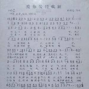 爱你爱得疯狂_歌曲简谱_词曲:刘祚志 刘祚志