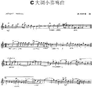 C大调小奏鸣曲_歌谱投稿_词曲: 豪普特曼
