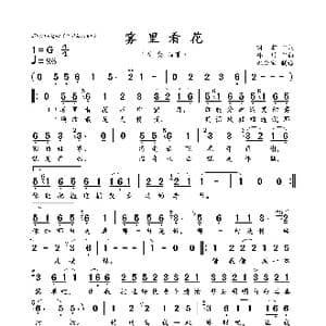 雾里看花_歌曲简谱_词曲:阎肃 孙川