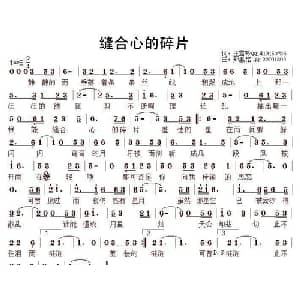 缝合心的碎片_通俗唱法乐谱_词曲:王雪玲 郑惠铭