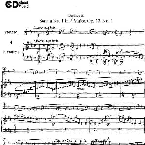 小提琴谱 | Violin Sonata No.1 in D Major Op.12 No.1 小提琴 钢琴伴奏