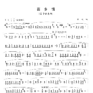 笛子谱 | 苗乡情 笛子独奏 张楠