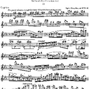 长笛曲谱 | 斯勒新老风格长笛练习重奏曲 第二部分 NO.33 Siegfried Thiele S. 斯勒