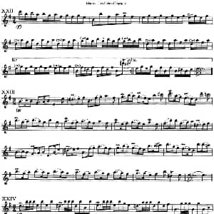 长笛曲谱 | 马瑞斯25首长笛小练习曲 NO.22 NO.25 Marais 马瑞斯