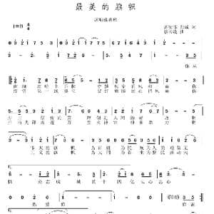最美的旗帜_歌谱投稿_词曲:齐宏伟,张成 蔡云凌