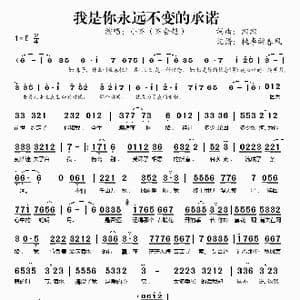 我是你永远不变的承诺_歌谱投稿_词曲:湘湘 湘湘