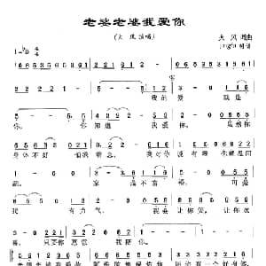 老婆老婆我爱你_通俗唱法乐谱_词曲:火风 火风