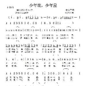 少年花,少年星_歌曲简谱_词曲:李晓军 张延道