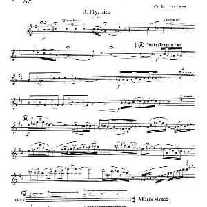 萨克斯谱 | 须川展也的 Fuzzy Bird Sonata Fly, Bird 毛绒鸟奏鸣曲之